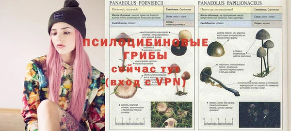 эйфоретик Белокуриха