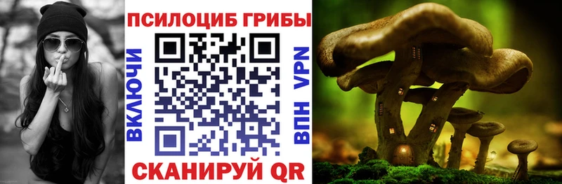 Псилоцибиновые грибы мухоморы где найти Верхний Уфалей