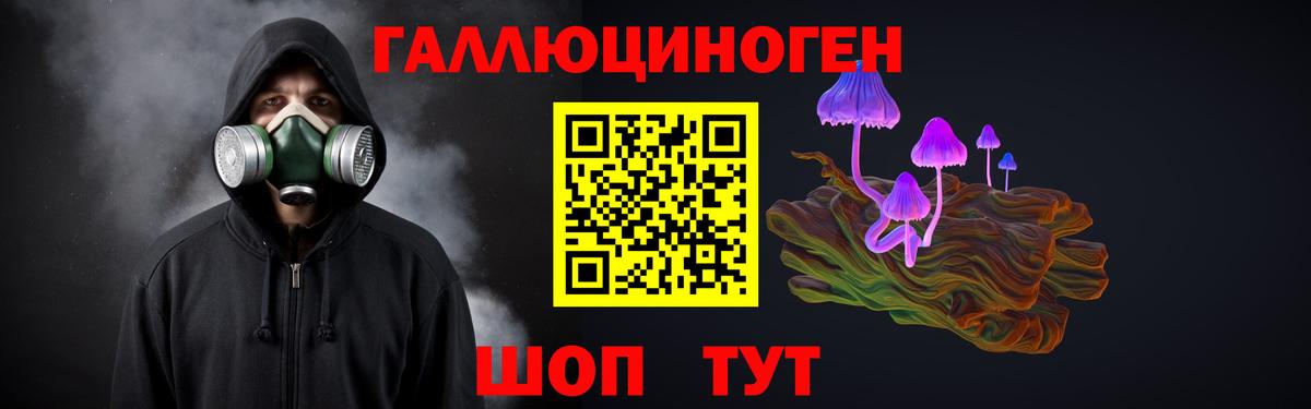 Верхний Уфалей  Галлюциногенные грибы Psilocybine cubensis  Вход с VPN 